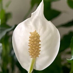 20% off Bundles with two or more items.👀